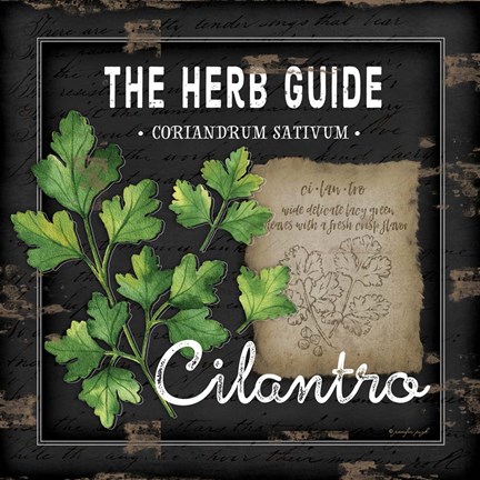 Framed Herb Guide Cilantro Print