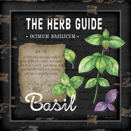 Framed Herb Guide Basil Print