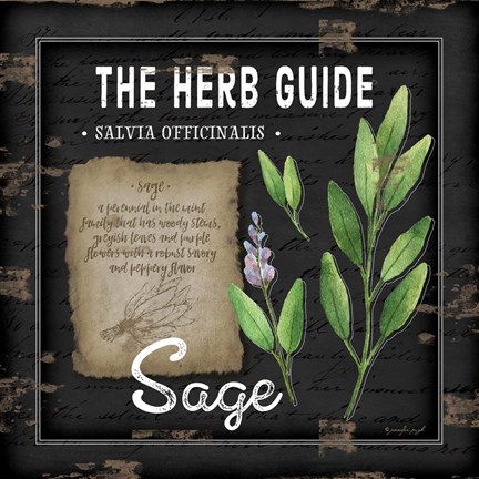 Framed Herb Guide Sage Print