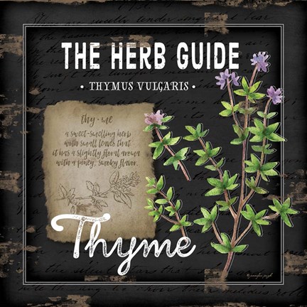 Framed Herb Guide Thyme Print