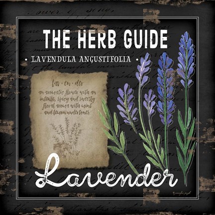 Framed Herb Guide Lavender Print