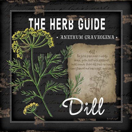 Framed Herb Guide Dill Print
