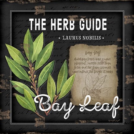 Framed Herb Guide Bay Leaf Print