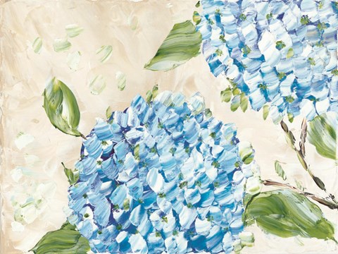 Framed Blue Hydrangeas II Print
