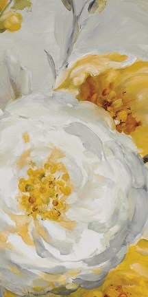 Framed Sunshine XV Print