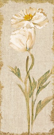 Framed Cosmo Panel on White Vintage v2 Print