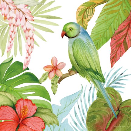 Framed Treasures of the Tropics VII Print