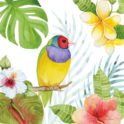 Framed Treasures of the Tropics V Print