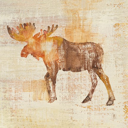 Framed Moose Study Print