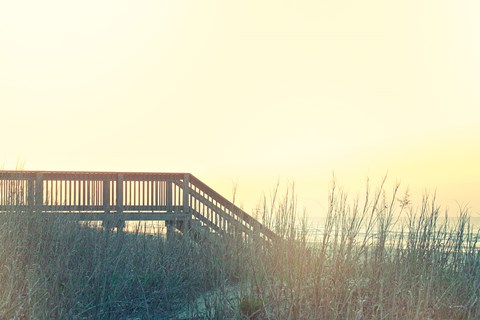 Framed Boardwalk to the Beach Print