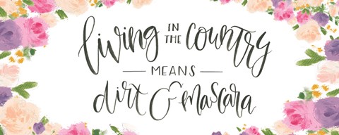 Framed Beautiful Country IV Print