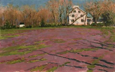 Framed Giligo's Field Print