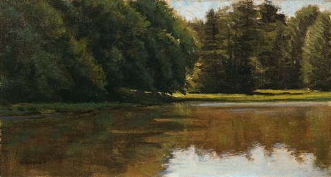 Framed Summer Light - White Pine Rd Pond Print