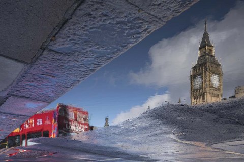 Framed Reflection 1 Print