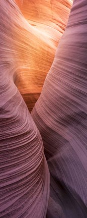 Framed Sinuoso-1 Print