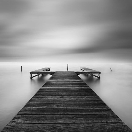 Framed Bipolar Print