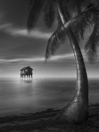 Framed My Paradise Print