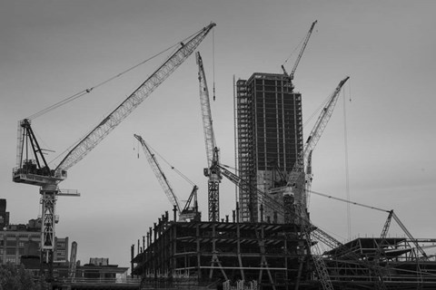 Framed New York Cranes Print