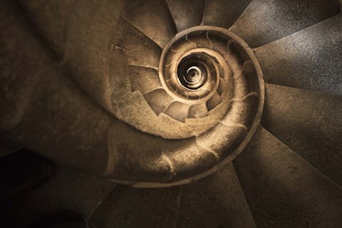 Framed Infinito Gaudi Print