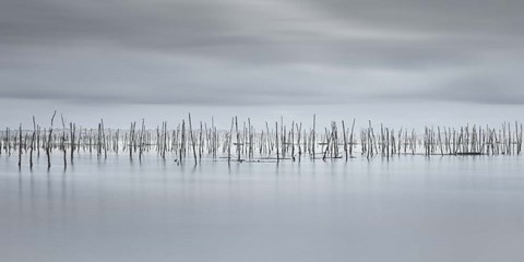 Framed Drawing Lines Print