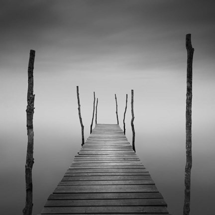 Framed Destiny 5 Print