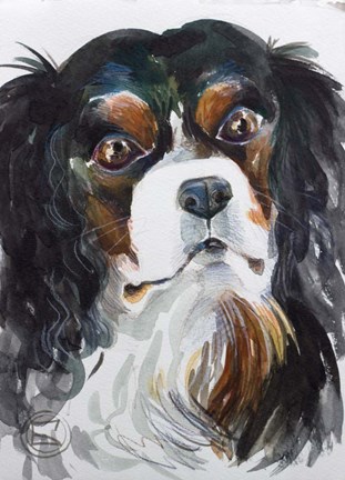 Framed Kavaler King Charles Print