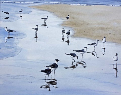 Framed Many Birds Print