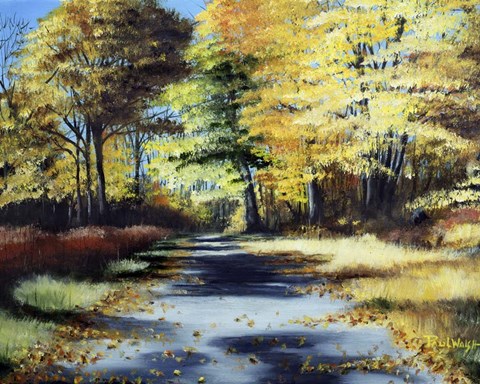 Framed Fall&#39;s Path Print