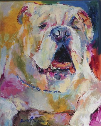 Framed Bulldog Print