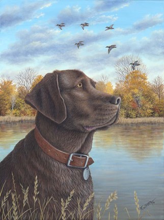 Framed Chocolate Lab Print