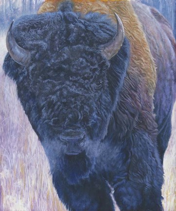 Framed Bull Print