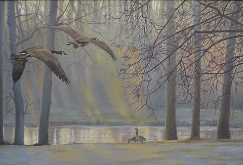 Framed Geese An Pond Print