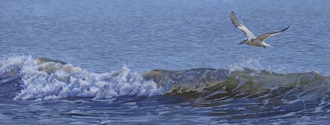 Framed Sailing Print