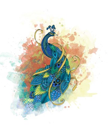 Framed Mr Peacock Print