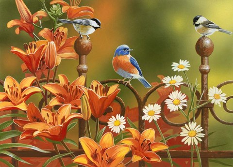 Framed Rusty Fence and Lilies Print