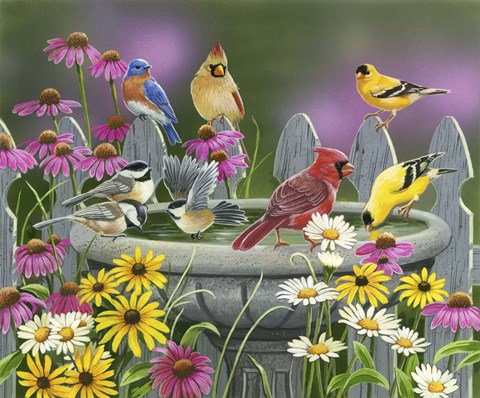 Framed Learning to Fly Print