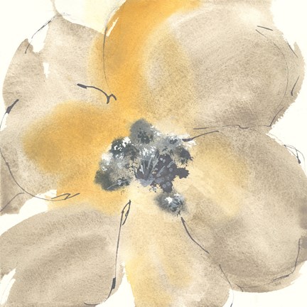 Framed Flower Tones I Print