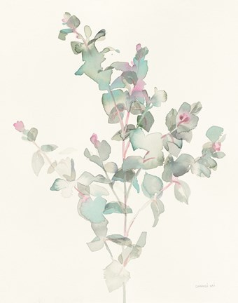 Framed Eucalyptus II Print