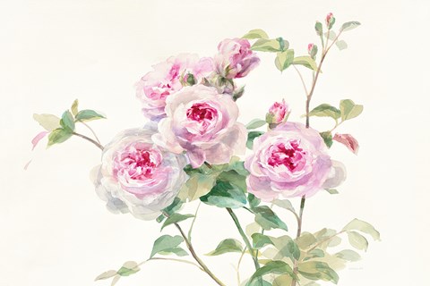 Framed Sweet Roses on White Green Print