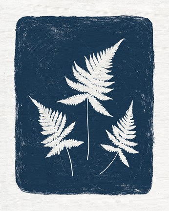 Framed Forest Shadows IV Print