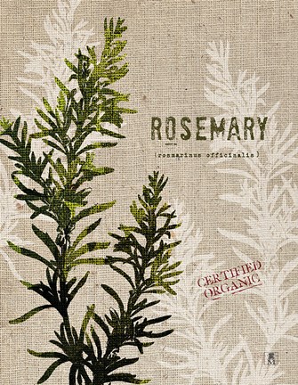 Framed Organic Rosemary No Butterfly Print