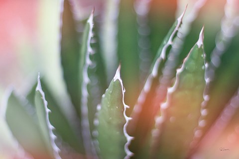 Framed Dream Desert IV Print