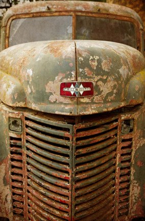 Framed International Print