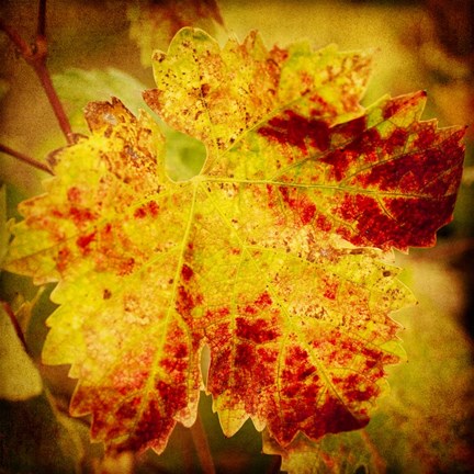 Framed Golden Foliage Print