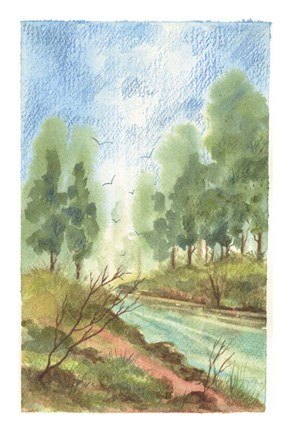 Framed Reflections Print