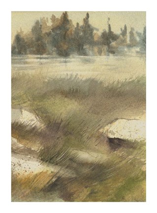 Framed Summer 2 Print