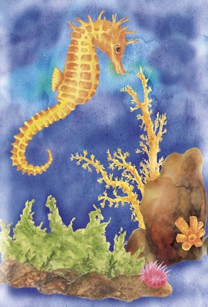 Framed Seahorse Print