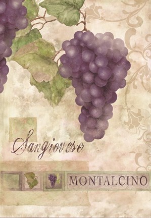 Framed Montalcino Sangiovese 2 Print