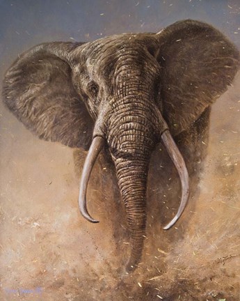 Framed Elephant Print