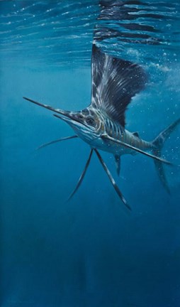 Framed Sailfish Print